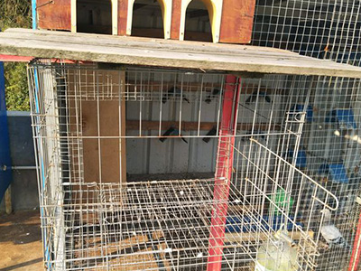 �������ؿ���������С�͸���