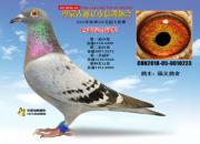 ͨ�ɸ�Э���̱����� 18���Ĺظ�������
