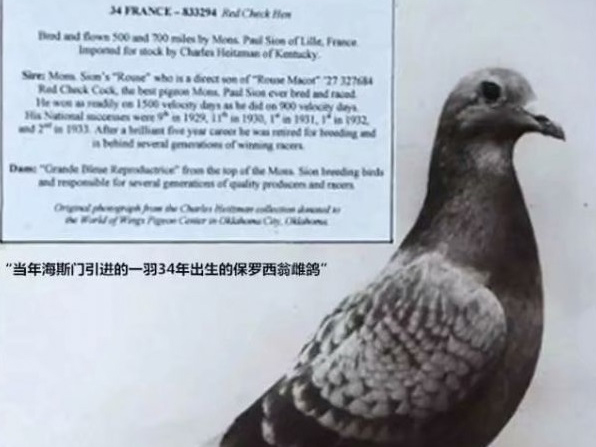 ����һ������ ��ϲ�ɫʹʧ�ø�