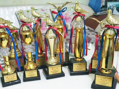 ����·ʮ�꺮���� �Ű���ս�ġ������ڡ�