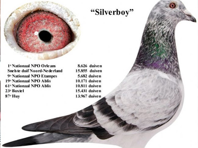 ÿ��һ�룺3�θ�λ����NPO����ɫ�к���(ͼ)