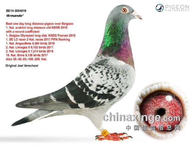 ȫ�򹫿�����������(����ʱ)��߼ۼ�¼������