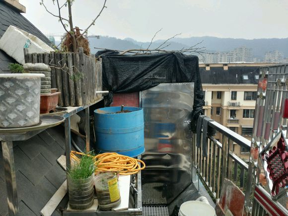 ����һ����һ�޶��ĸ��� ��Ҿ�����ô��