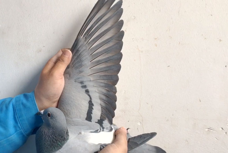 ר�����������԰ 18���������Ĺعھ�����