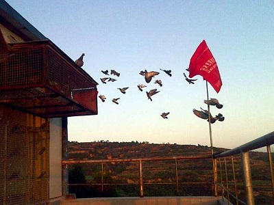 �ҷɣ���ʱ���� ������