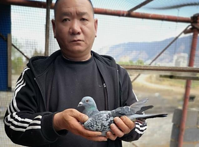 ���������������᣺ĬĬ���׵���˾�ų�