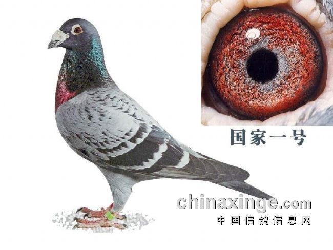 ÿһ룺ʯָ롰һš(ͼ)