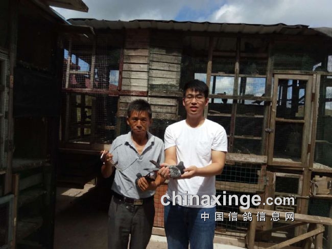 ���»����У��׷���Ҵ�Ǿ�ʮ����������