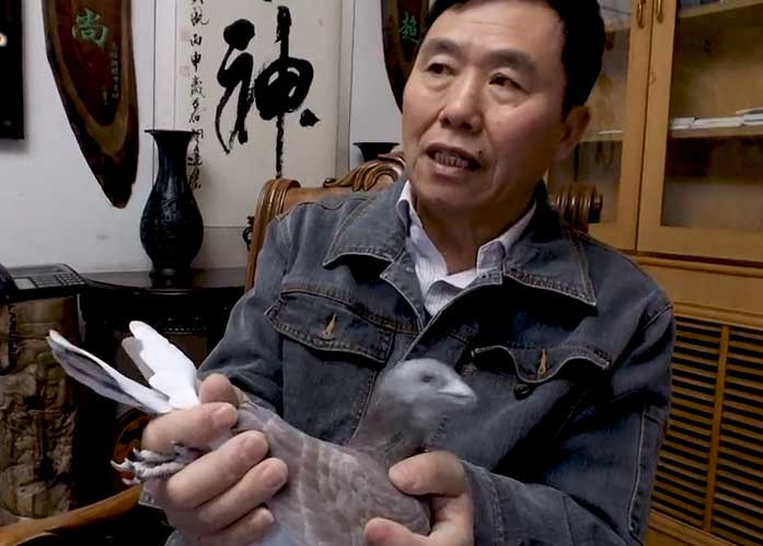 ר���������� ղɭ����ָ�����