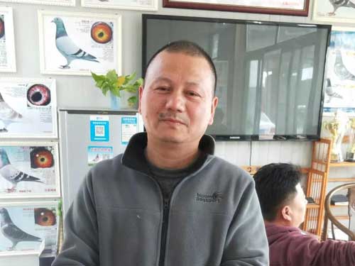 ���Ϻ�������ս�ھ������������ָ� ����ս���Ի�