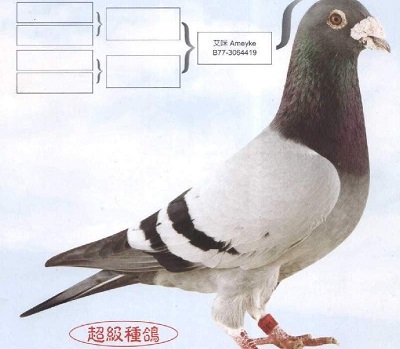 ����Ǯ���������� �ο��ǱȽ�С��