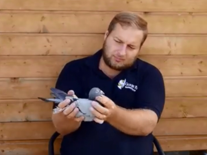 ��������ǿ��Ī���Ŷ�ר�� ����������չʾ