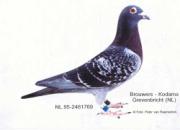 ÿ��һ�룺һ�����λ�ù������ھ�������֮����