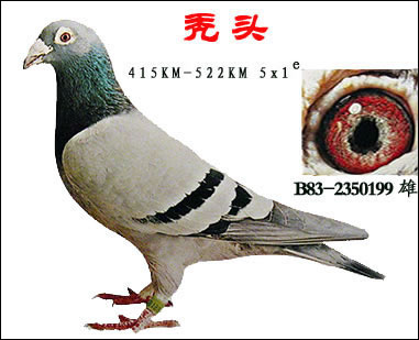 ÿ��һ�룺������֮��ͺͷ�š���ͼ��