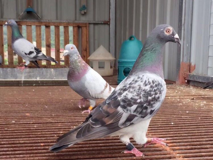 �������Ҳû��ô��