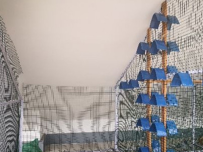 ��н������������ĸ������