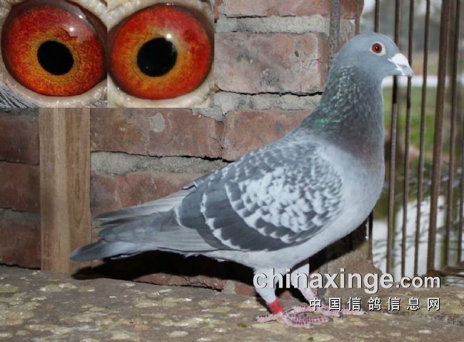 �����б� һ·����