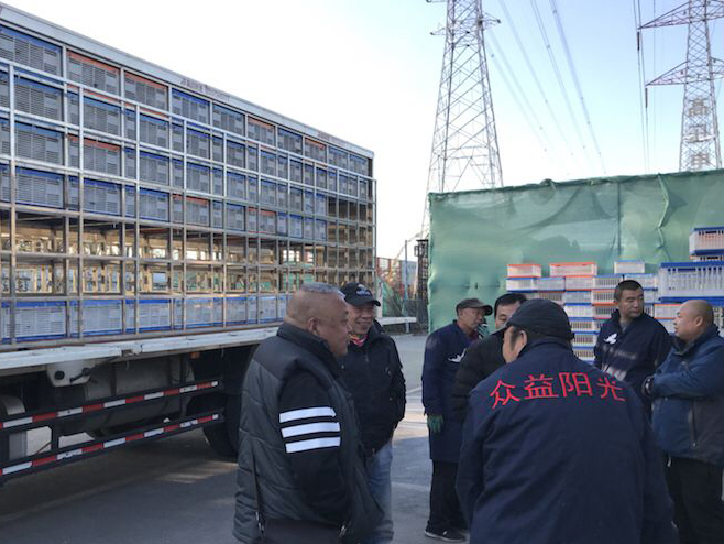 550������������������ ��������