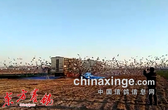 ��˳�´���160�����ʸ�������ͷ