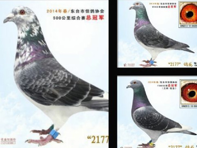 �����˵�9������ ������ռ����