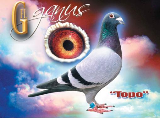 ÿ��һ�룺���糬�������롰������