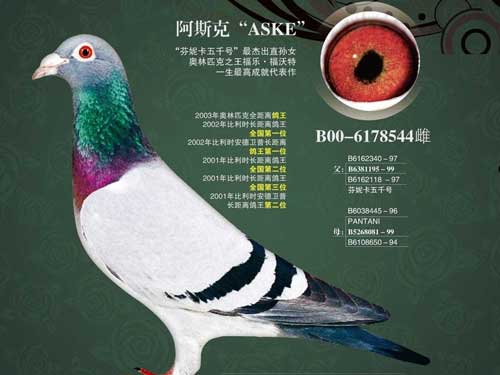 ÿ��һ�룺�����۷�֮������˹�ˡ�