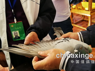 �Ĵ����˵ڶ���Բ������  ����˹�����ٻ��λ����