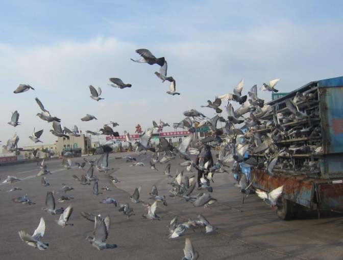 ��ý���߽����˵���ʱ������������ 