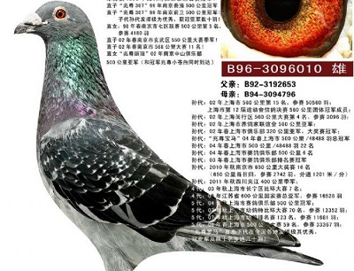 ÿ��һ�룺�������ֹ�������������