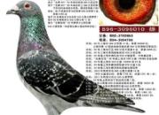 ÿ��һ�룺�������ֹ�������������