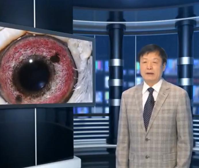 ������֮�ա��ڶ��ڣ�������ѡ���е���Ҫ����