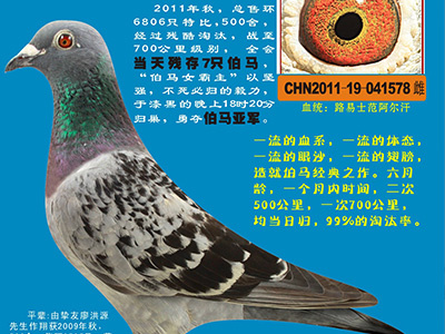 ��Ӣ����ʦ�����ڿΣ�6���й�����ǿ����˭˵�˲��㣿