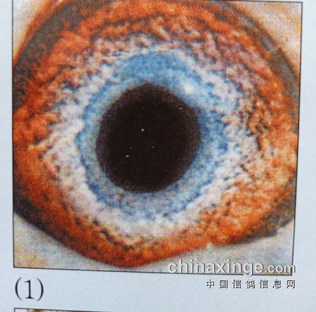 �������ͣ�ף������ʦ��ɰ�۸�ĵ�����