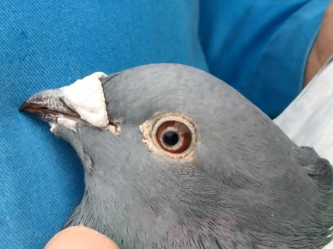 δ�����ķ��򵽵���ʲô��