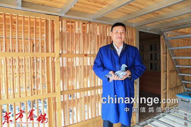 һ����۴����� �����������Ի�