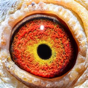 ûӲ������ͽ���޹�