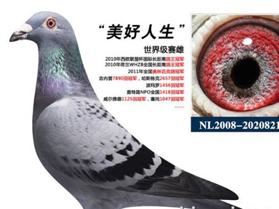 ÿ��һ�룺2��35�����͡�����������(ͼ)