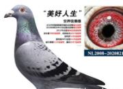 ÿ��һ�룺2��35�����͡�����������(ͼ)