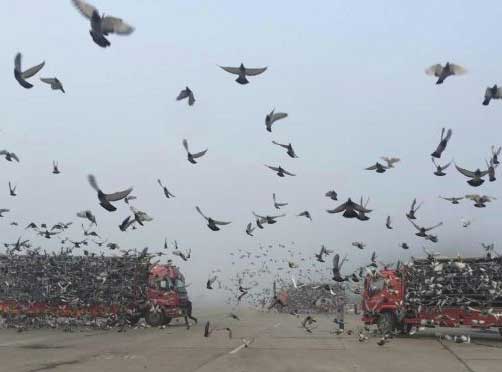 ����������������������� ���꾩��ھ�������