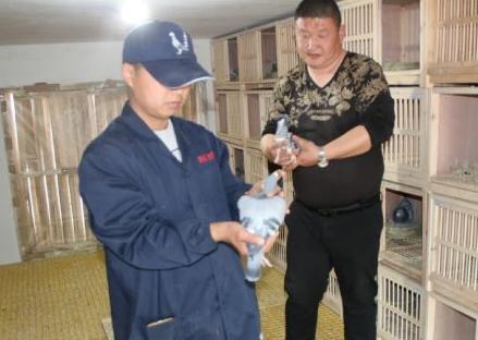 ���˺�һ˳����С����������������ɸ�Ժ����