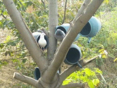 ���ֲ�����Ͱ�������˽�һ��