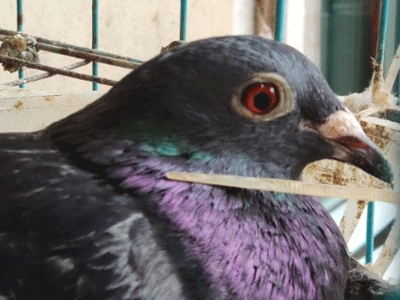 �ҵ�ǧ����Զ�̸�