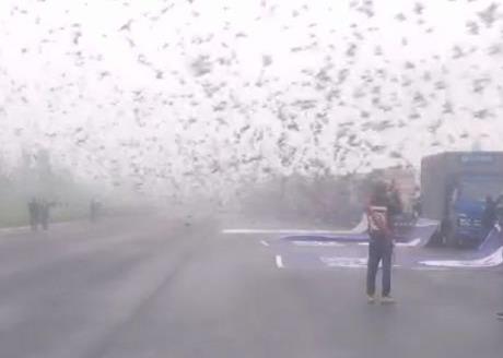 ��������������򼽼��� �������鳲�����