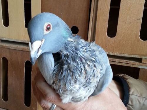 ����û����ΪʲôҪιҩ��