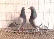 �ٿƳ�֪ʶ���ٹ��Ĵ��������
