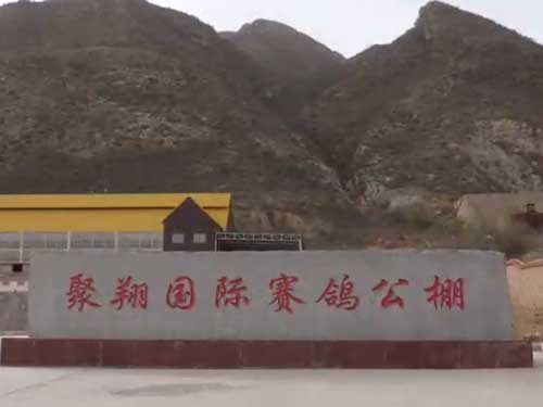 ��Ƶ�������еľ��蹫��