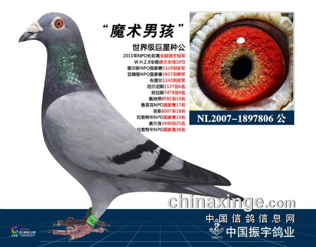 ÿ��һ�룺�����ָ롰ħ���к���