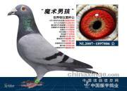 ÿ��һ�룺�����ָ롰ħ���к���