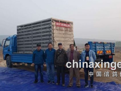 �ɺ����Ѥ������������������ã��ھ����ֳ�չʾ