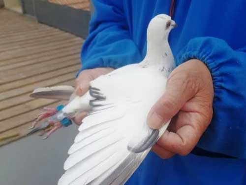 �����й������ɼ����� ǰʮ����Ƭ����